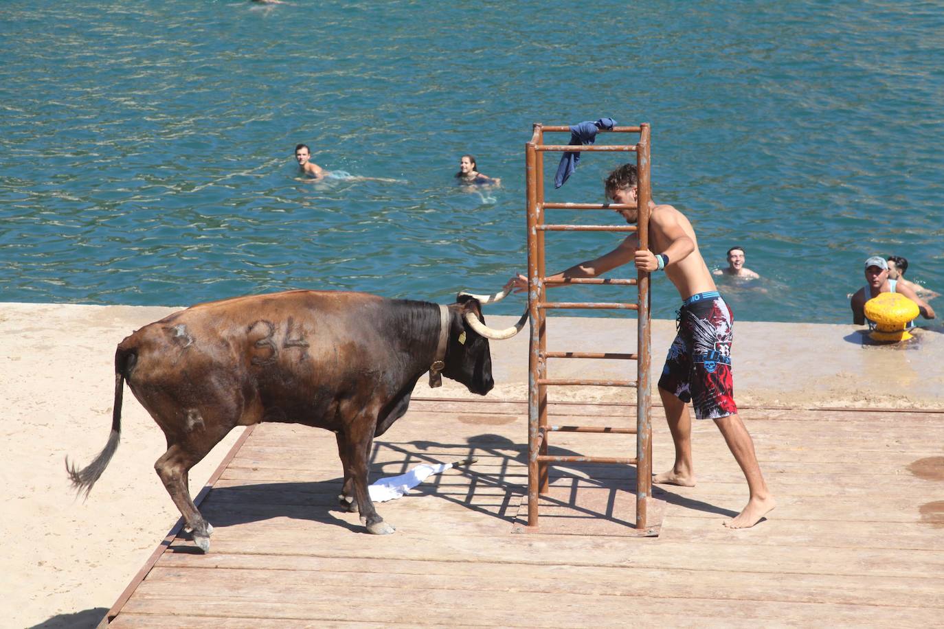 Primer día de Baret y Bous a la Mar en Xàbia