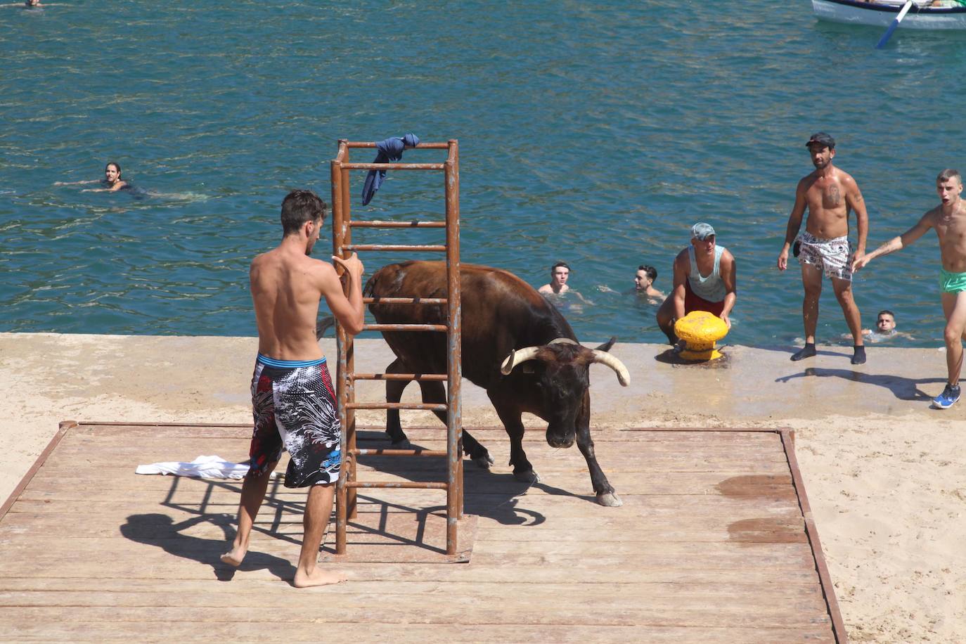 Primer día de Baret y Bous a la Mar en Xàbia