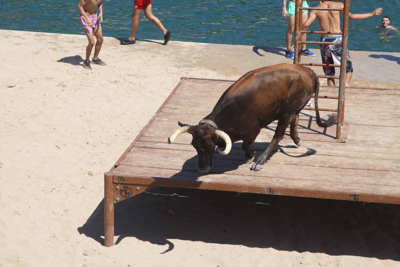 Primer día de Baret y Bous a la Mar en Xàbia