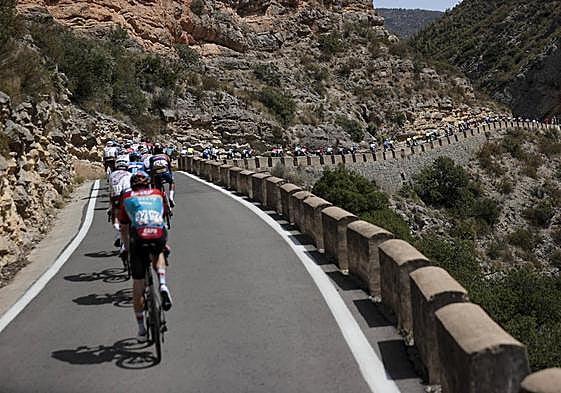 El pelotón durante la séptima etapa de la Vuelta a España.