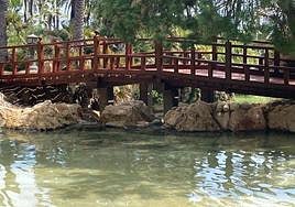 Parte del lago del Palmeral, que se podrá volver a usar.