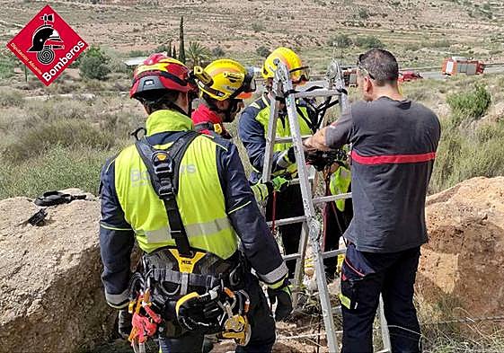Actuación de los Bomberos del Consorcio para rescatar al perro caído en un pozo.