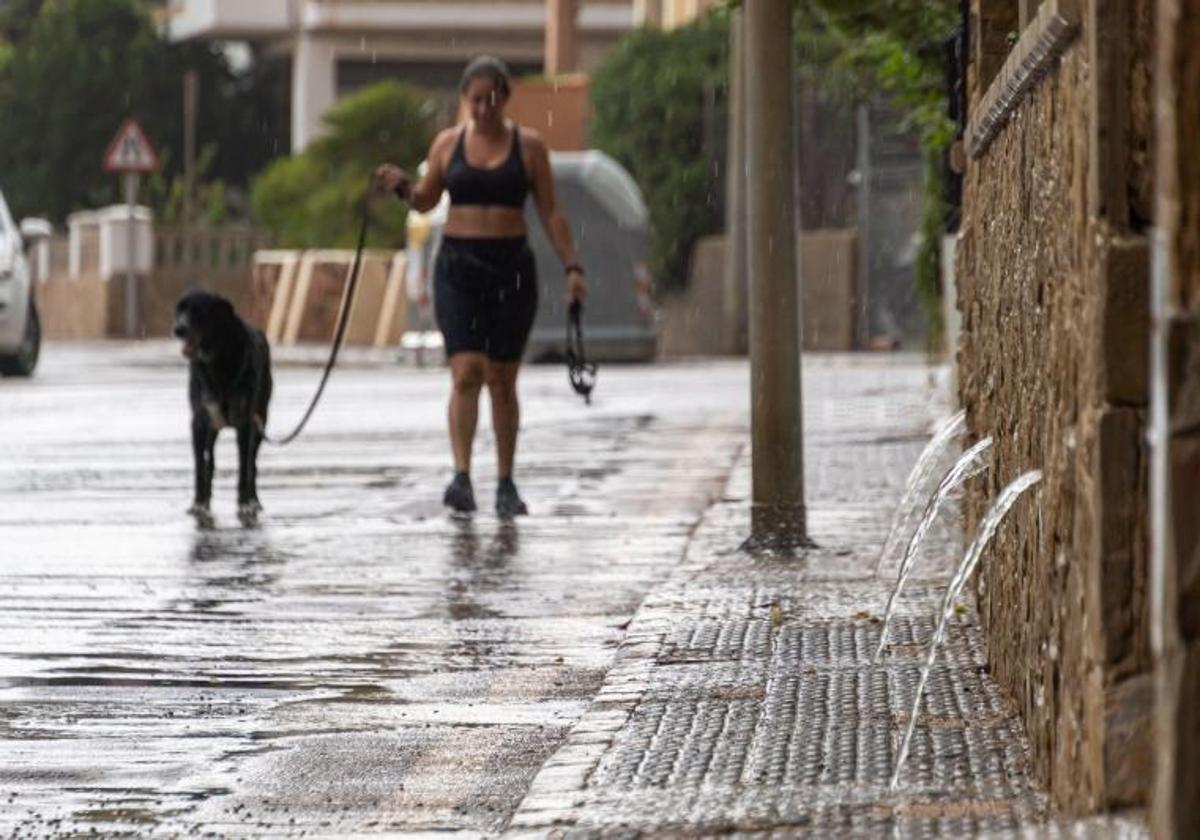 Una joven pasea a su perro tras un episodio de lluvias.