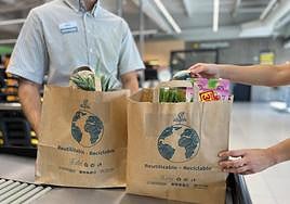 Bolsas de la compras