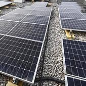 Elche suspende las licencias para la instalación de plantas fotovoltaicas