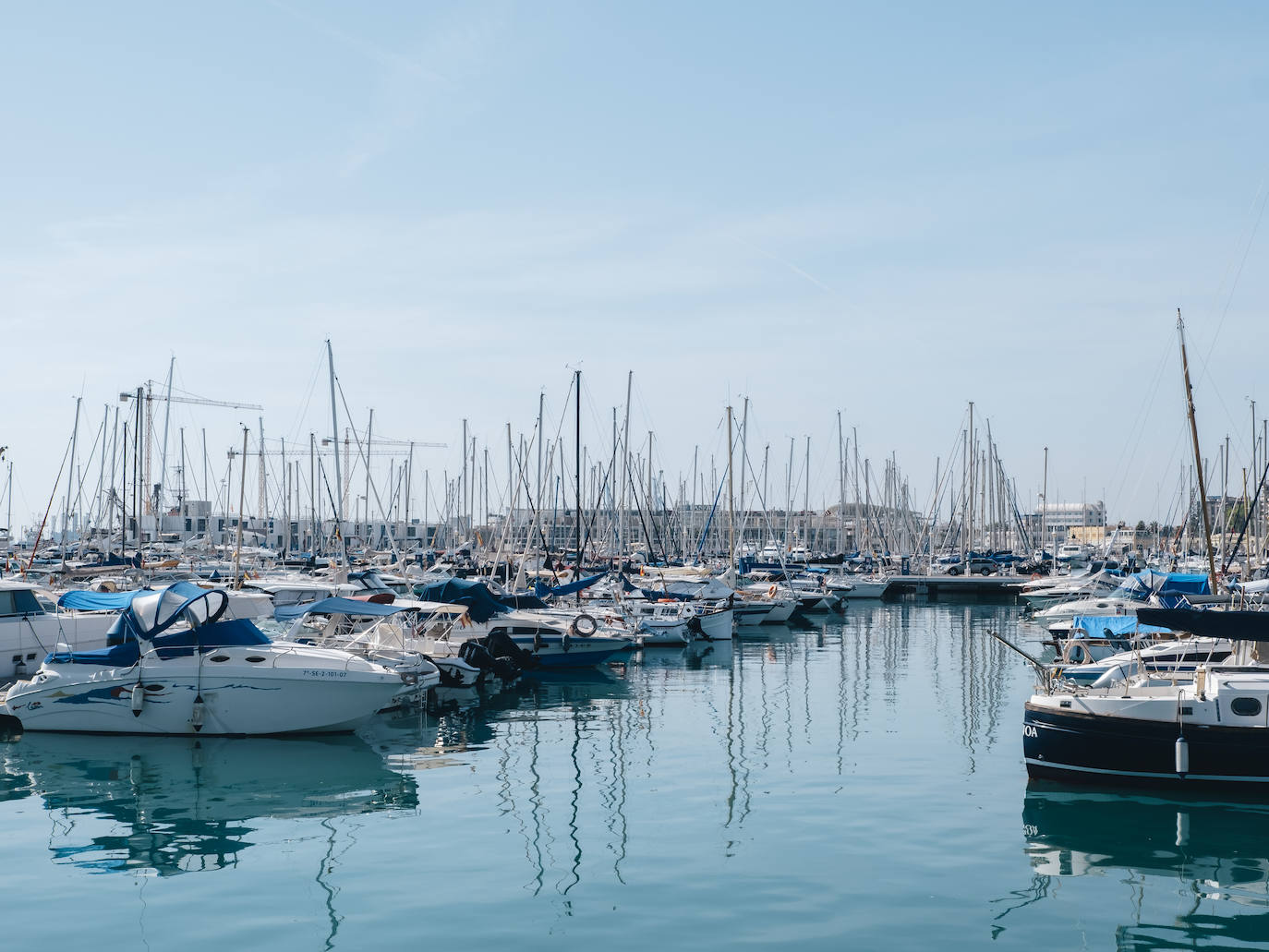 Imagen del puerto de Alicante