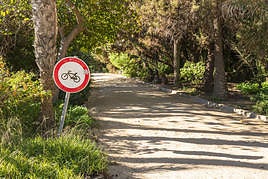 Carril bici en el parque del Palmeral de Alicante.