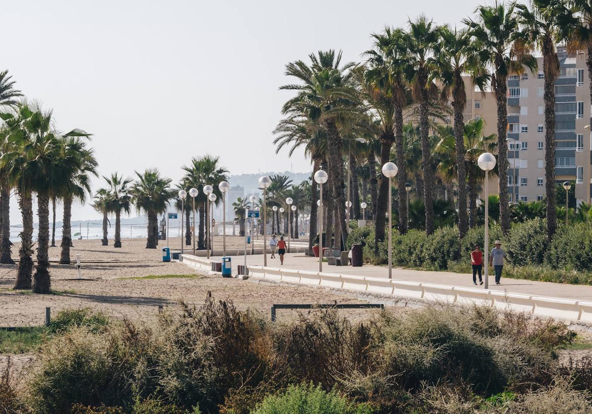 Imagen de la playa de Urbanova.