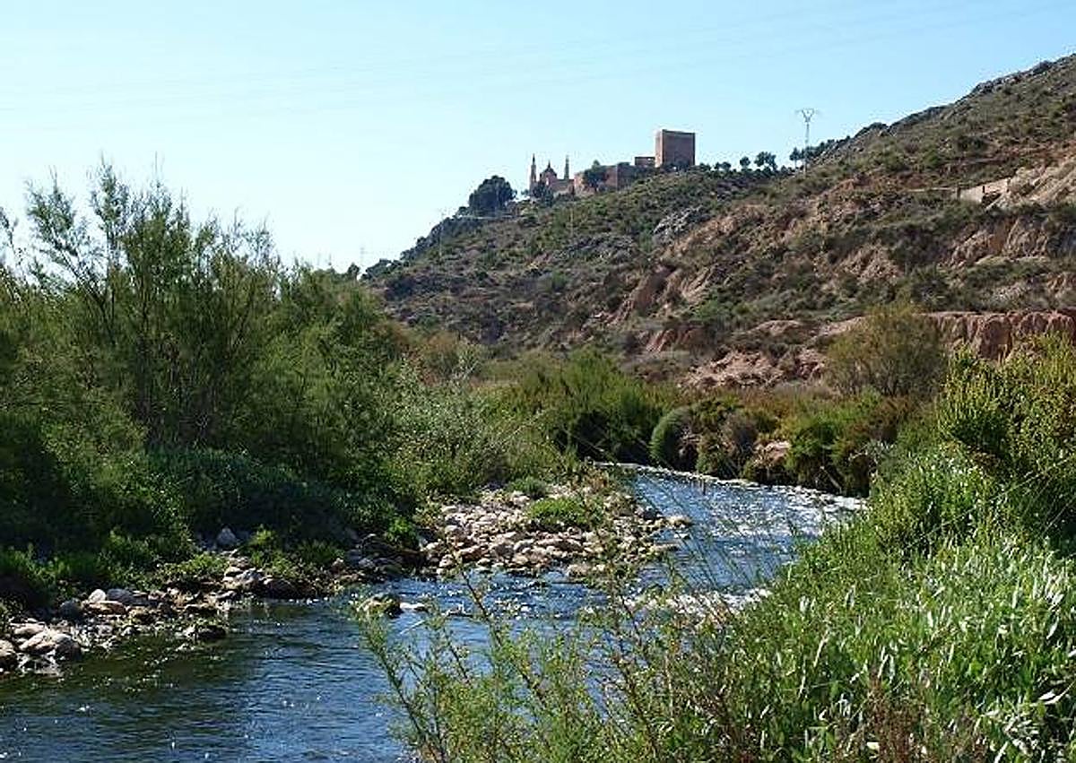 Imagen secundaria 1 - Novelda