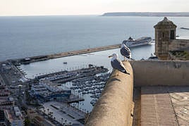 Puerto de Alicante visto desde el Castillo de Santa Bárbara.