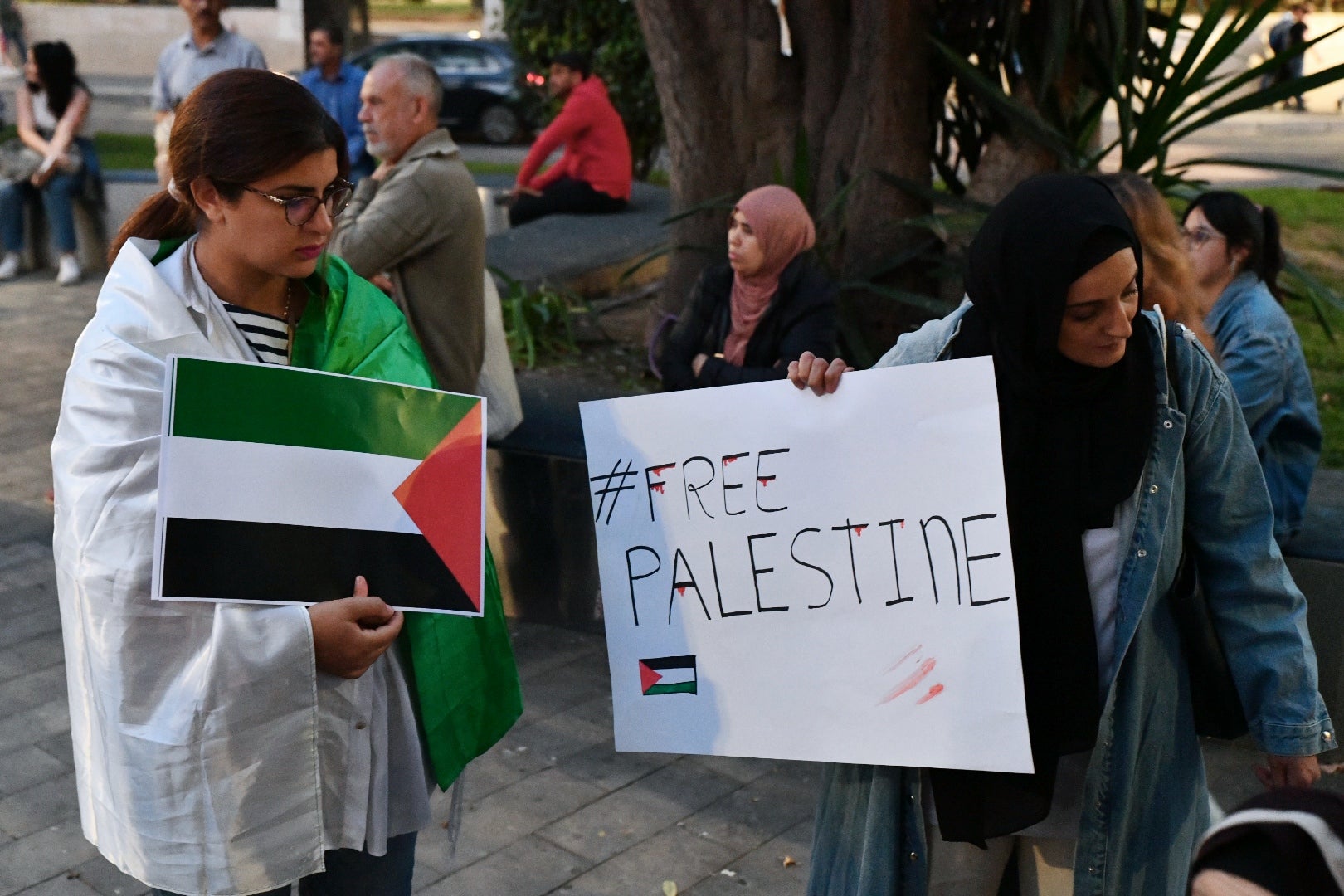Manifestación en Alicante en solidaridad con el pueblo Palestino