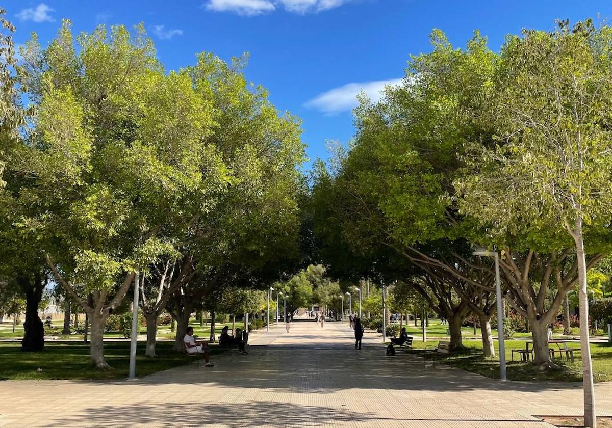 El sol inunda los rincones del campus de la UA.