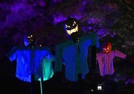 Calabazas terroríficas propias de Halloween.