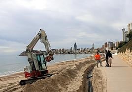 Imagen de los trabajos que se están realizando en la playa de Poniente de Benidorm