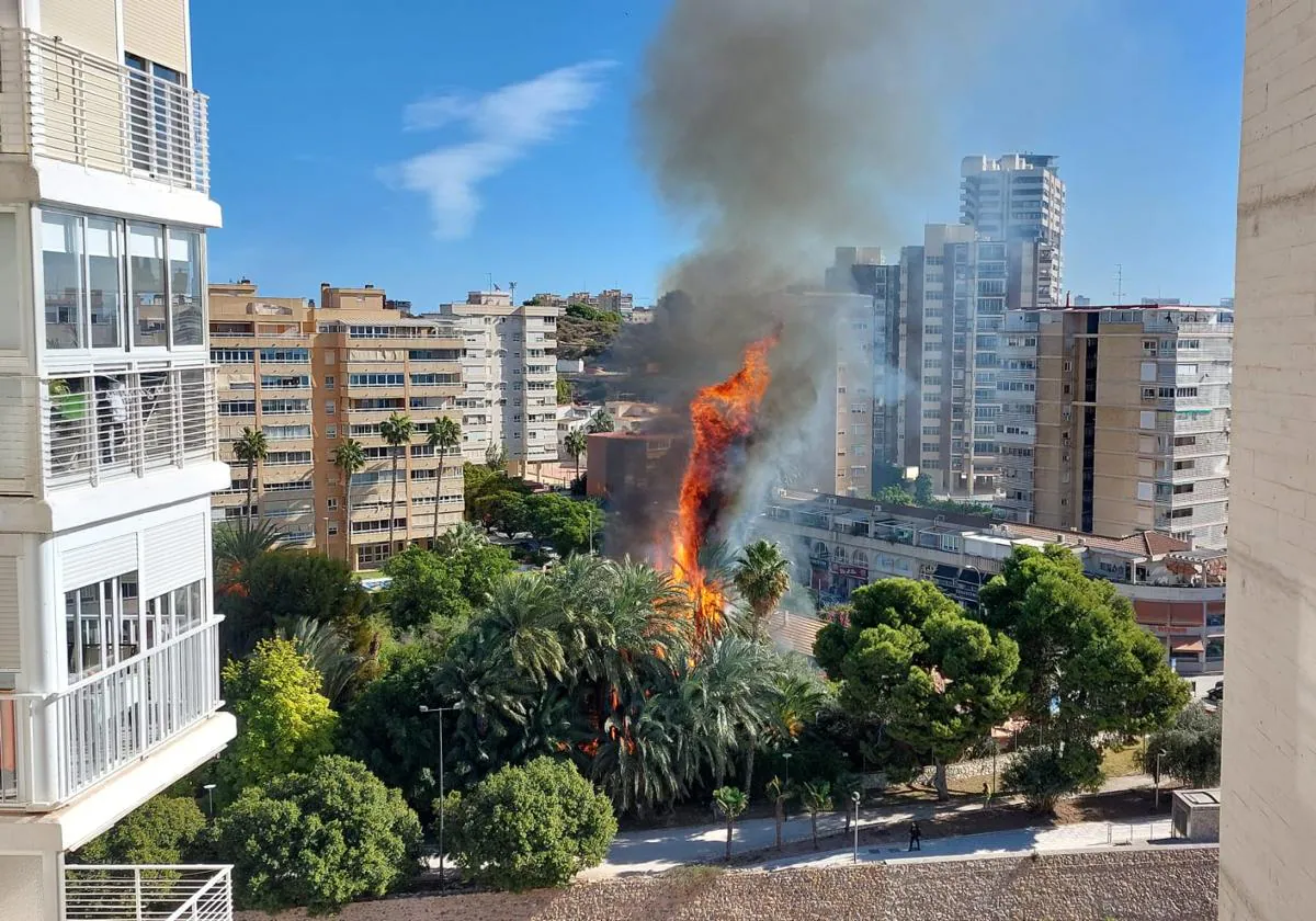 Incendio en el barrio de la Albufereta.