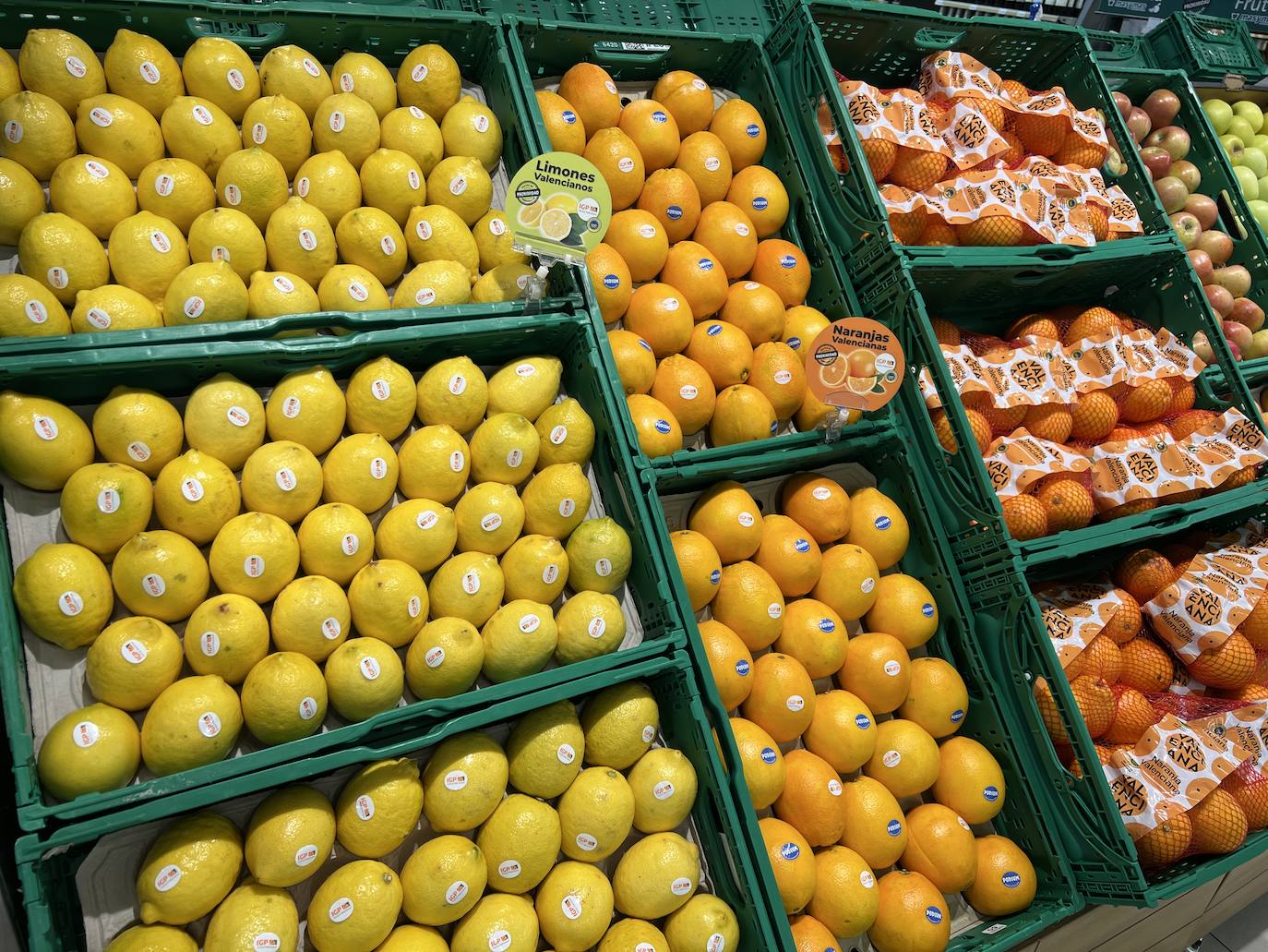Masymas comprará 950 toneladas de cítricos a productores locales