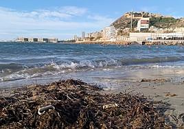 Restros en la arena de una de las calas de la zona.