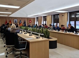 El pleno del Ayuntamiento de Elda ha aprobado la subida de la tasa de basura.