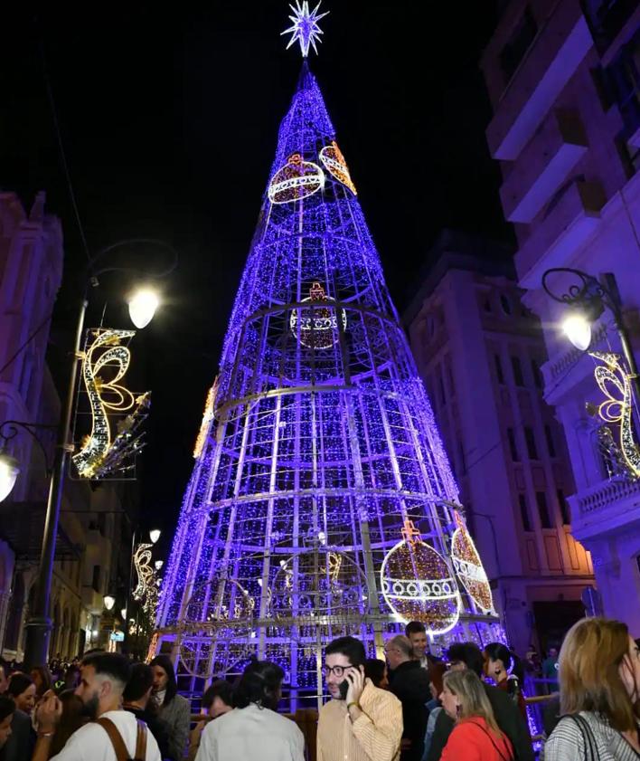 Imagen secundaria 2 - El oso influencer de la Navidad de Alicante, las luces de Maisonnave y el árbol gigante.