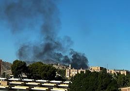 Humareda provocada por el incendio en Rabasa.