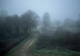 Nieblas y heladas a primeras horas de la mañana.