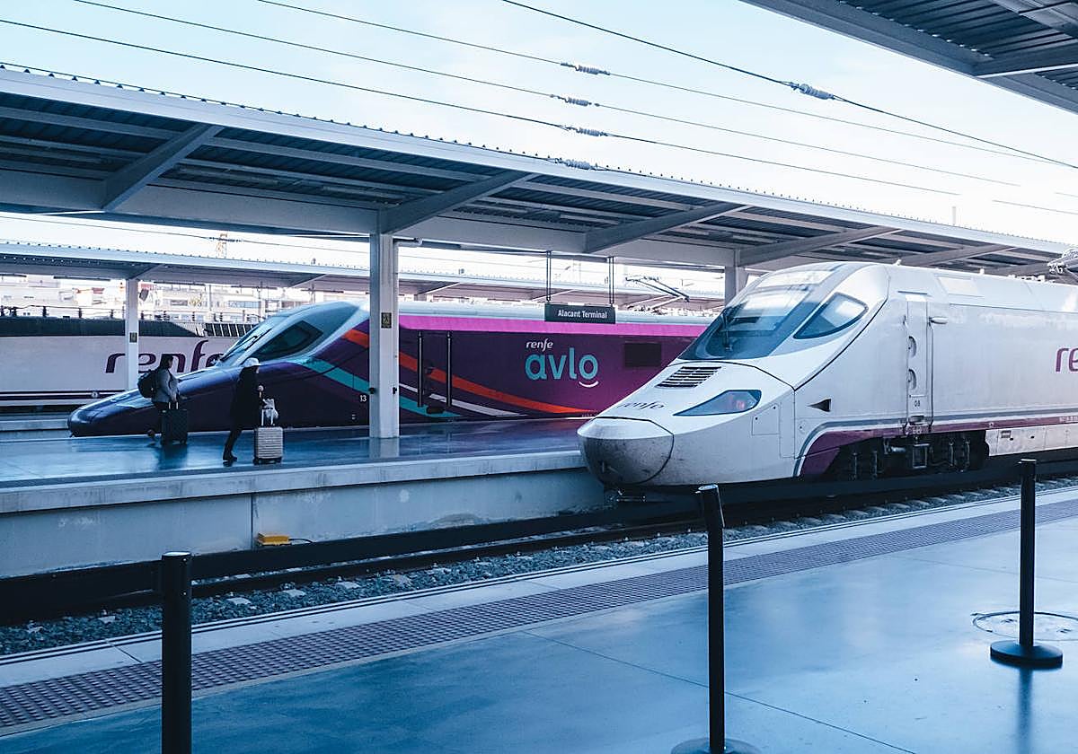 Trenes de Renfe en la Estación de Alicante.