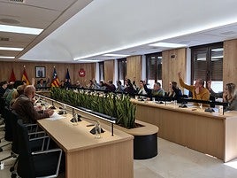 Sesión del pleno municipal de Elda.