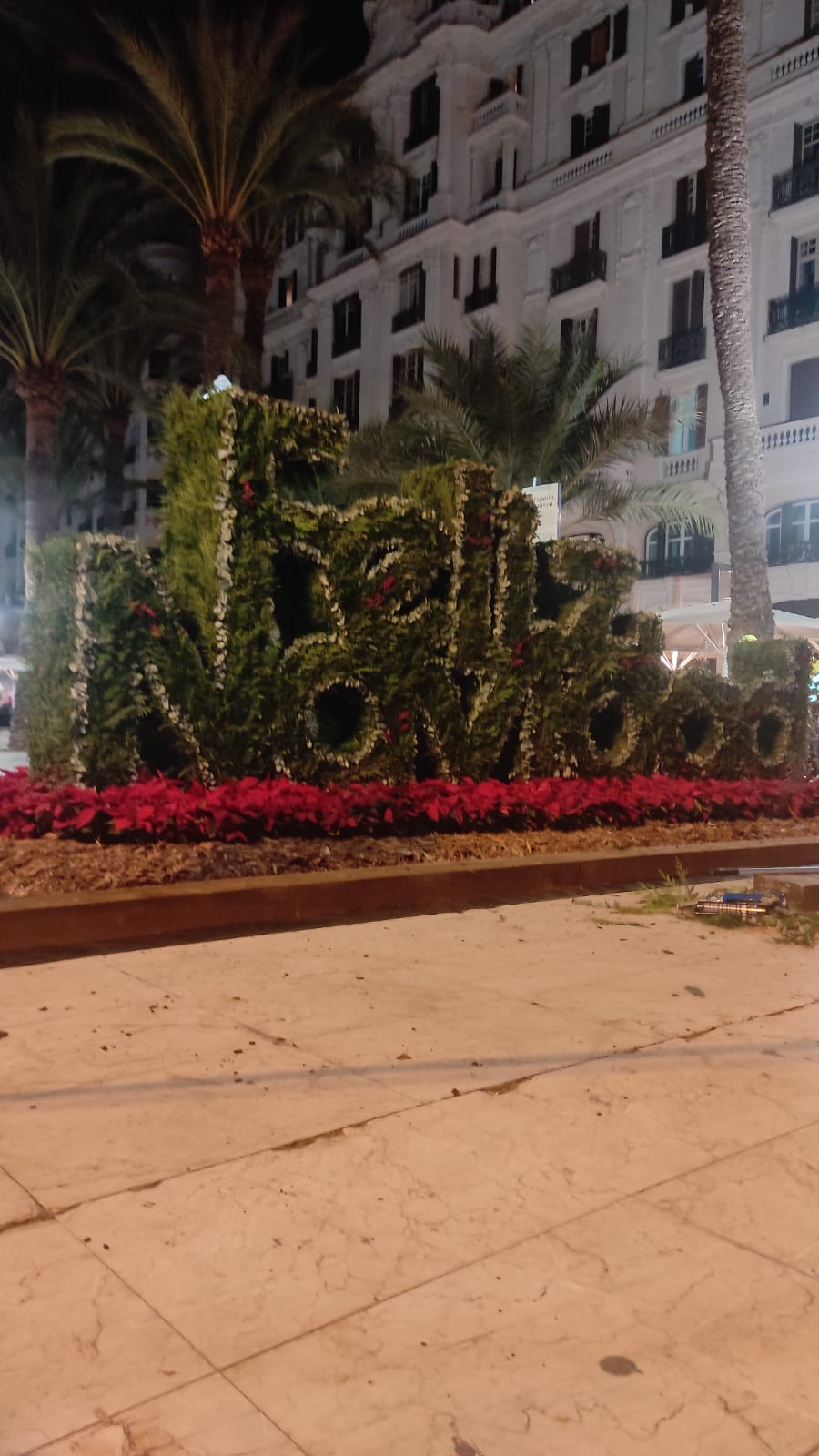 Alicante se tapiza de flores y adornos navideños