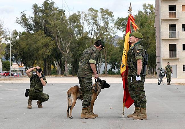 El perro Truman, en el momento de despedirse de la bandera.
