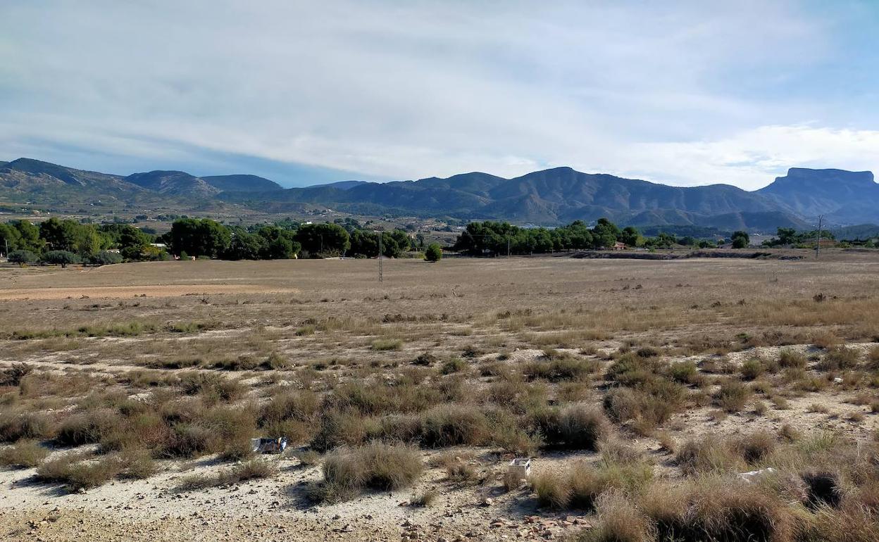 Terrenos de Elda donde irá la planta fotovoltaica