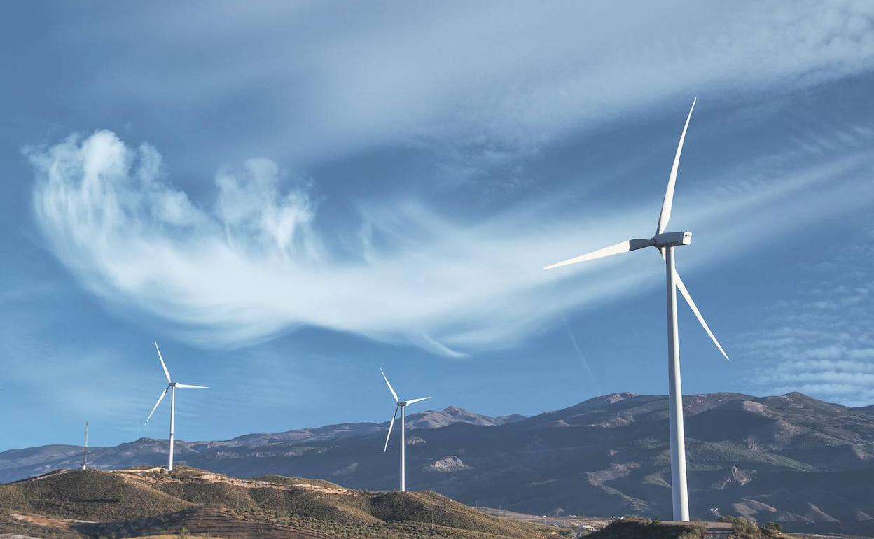 Molinos de viento en movimiento. 