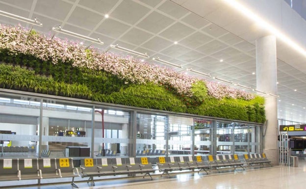 Jardín vertical del aeropuerto de Málaga instalado por Acer Espacios Naturales. 