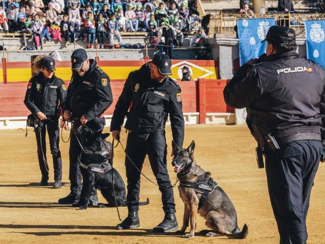 Fotos: Exhibición de medios aéreos, caballería y simulacro de rescate muestran la Policía Nacional