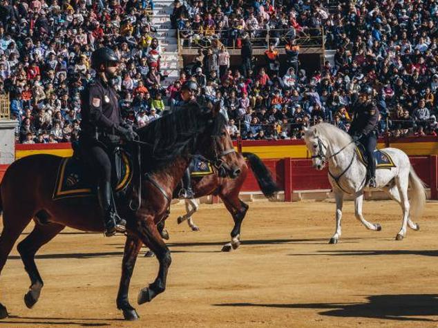 Fotos: Exhibición de medios aéreos, caballería y simulacro de rescate muestran la Policía Nacional