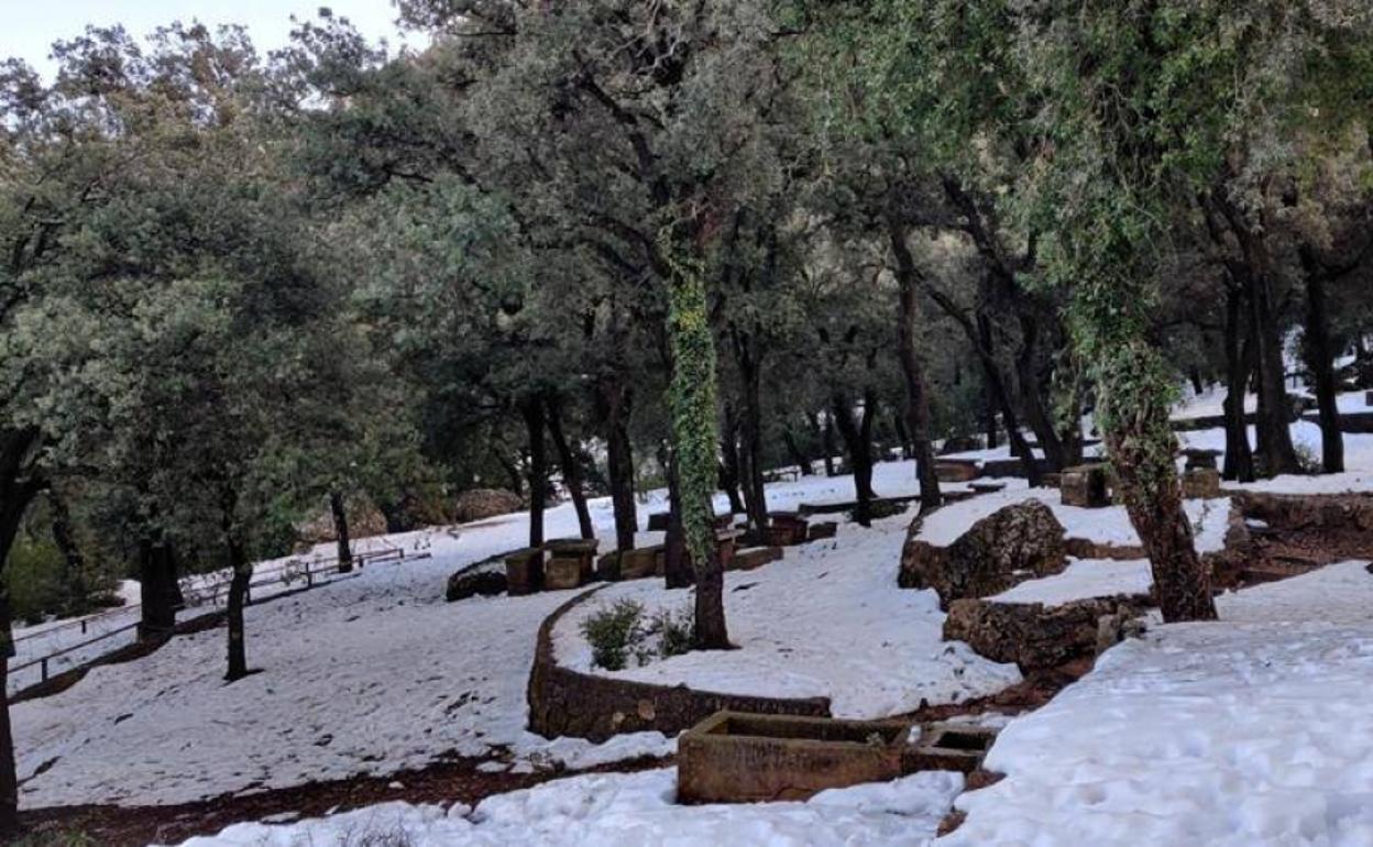 Nieve en la sierra de Alicante 