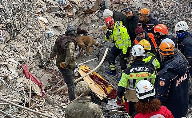 La perra 'Piña', de los Bomberos de Alicante señala el lugar donde se puede encontrar una víctima.