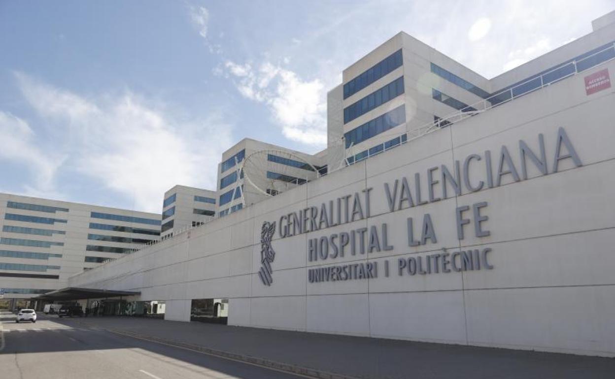 Hospital Universitario y Politécnico La Fe de Valencia 