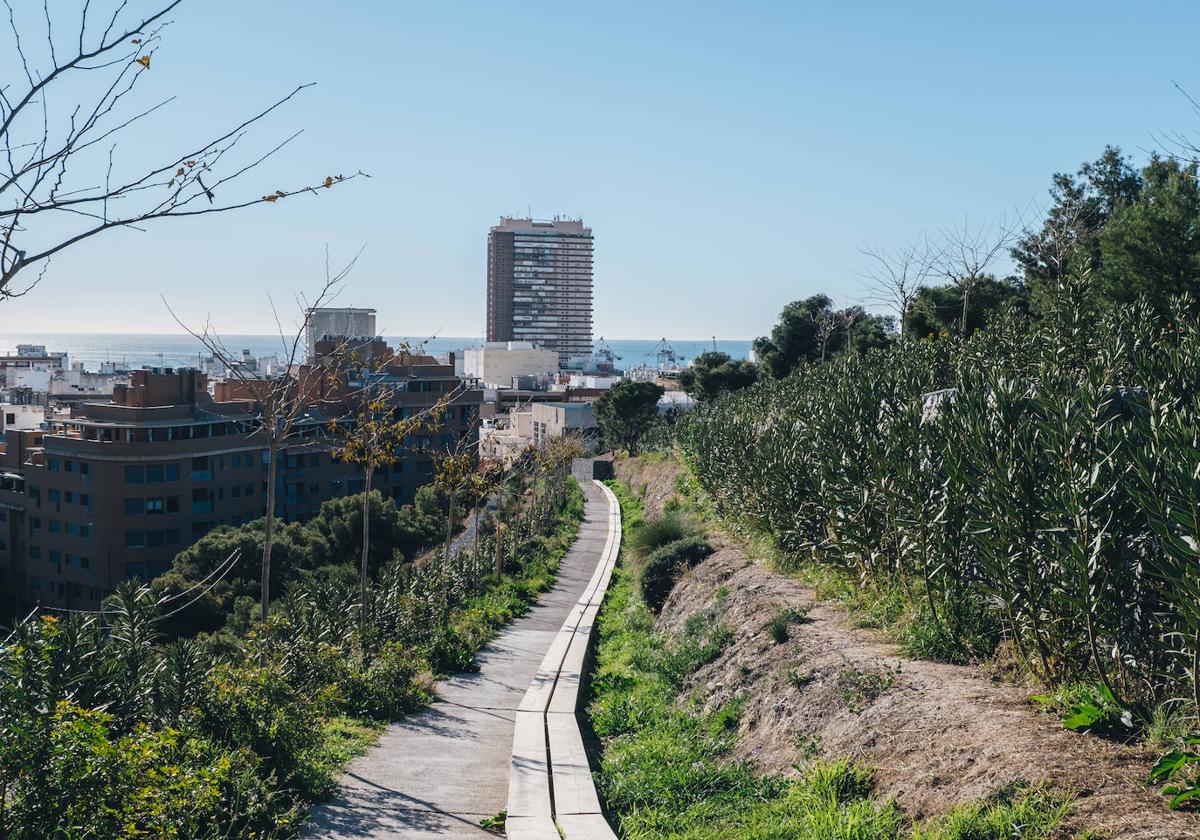 Monte Tossal de Alicante, zona donde se intentó provocar un incendio.