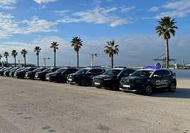 Los nuevos vehículos de la Policía Nacional de la provincia de Alicante.