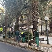 Un nuevo corredor verde en pleno centro de Alicante