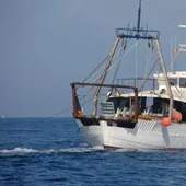 El sector pesquero de la provincia de Alicante alerta sobre su crítica situación
