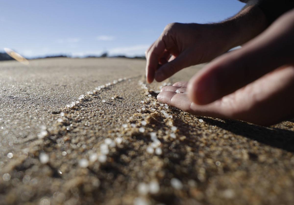 Persona recogiendo pellets en una playa de Galicia.