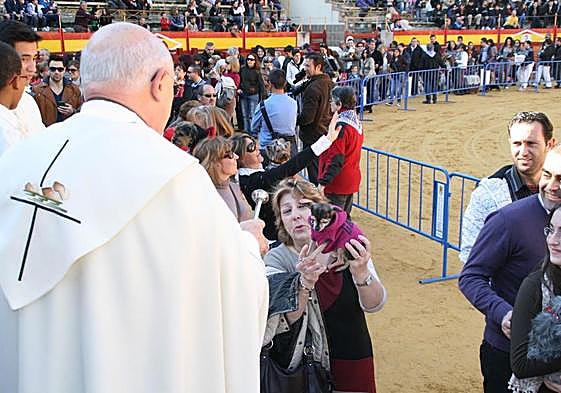 Bendición de animales por San Antón.