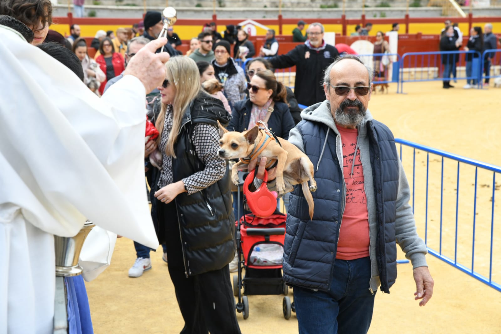 Las fiestas del Porrate de San Antón celebran su tradicional bendición de animales