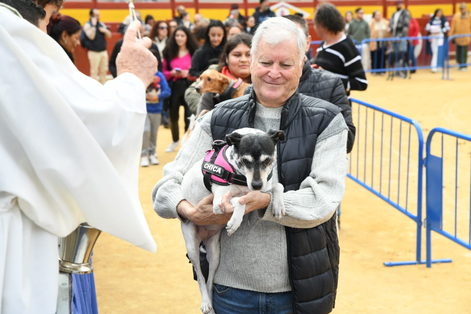 Las fiestas del Porrate de San Antón celebran su tradicional bendición de animales