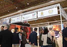 Espacio de San Vicente del Raspeig en Fitur.