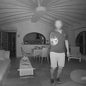 Desmantelan una banda que robó en 25 viviendas de la Marina Alta y Baixa