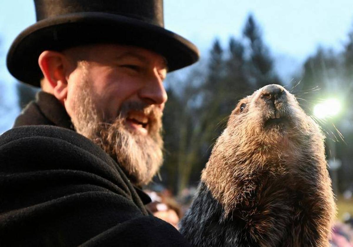 La marmota Phil, que este viernes realizó su famosa predicción.