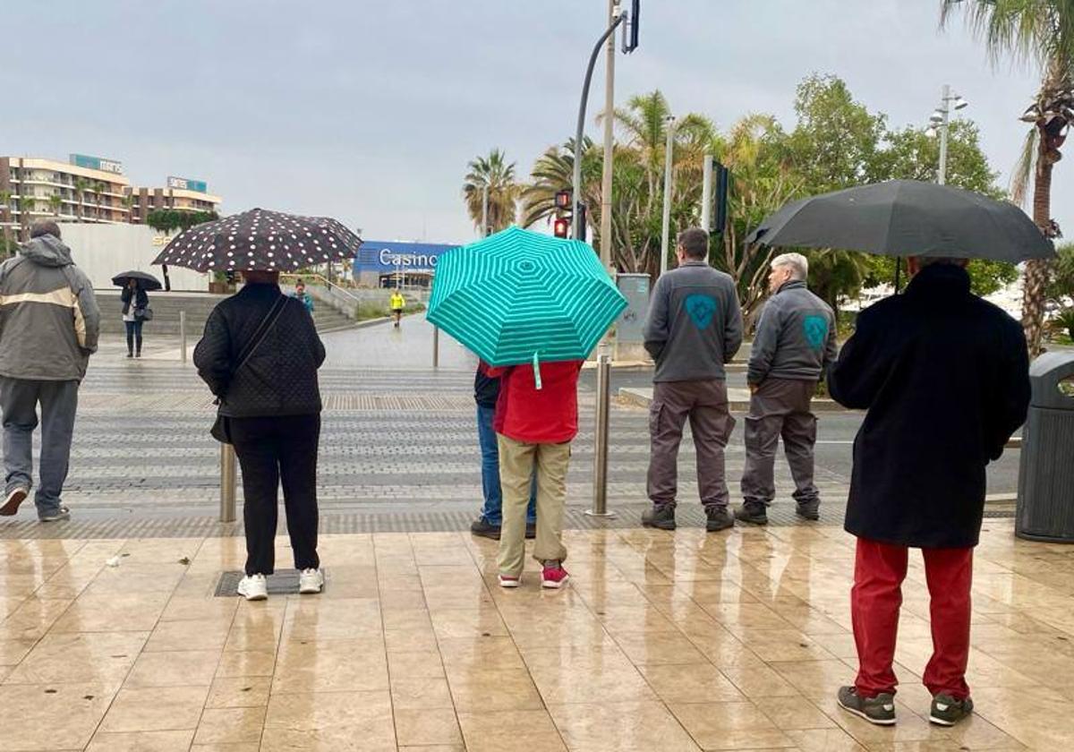 Viandantes esperan para cruzar de la Explanada al paseo del puerto en un día de lluvia en Alicante.