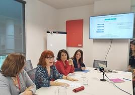 Reunión de presentación de los resultados del proyecto.